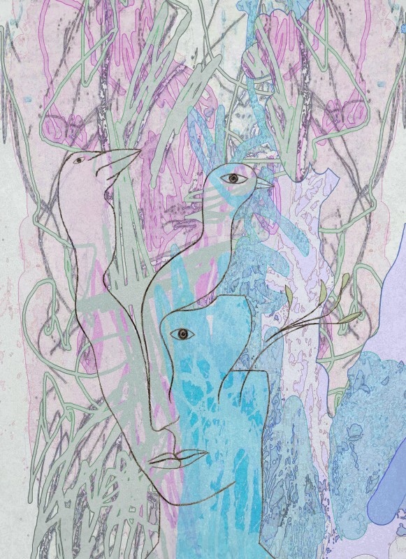 les oiseaux de Mathé les oiseaux de Mathé